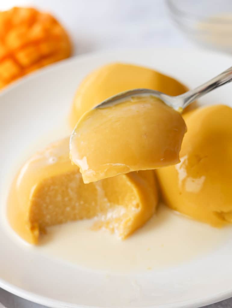 up close shot of mango pudding