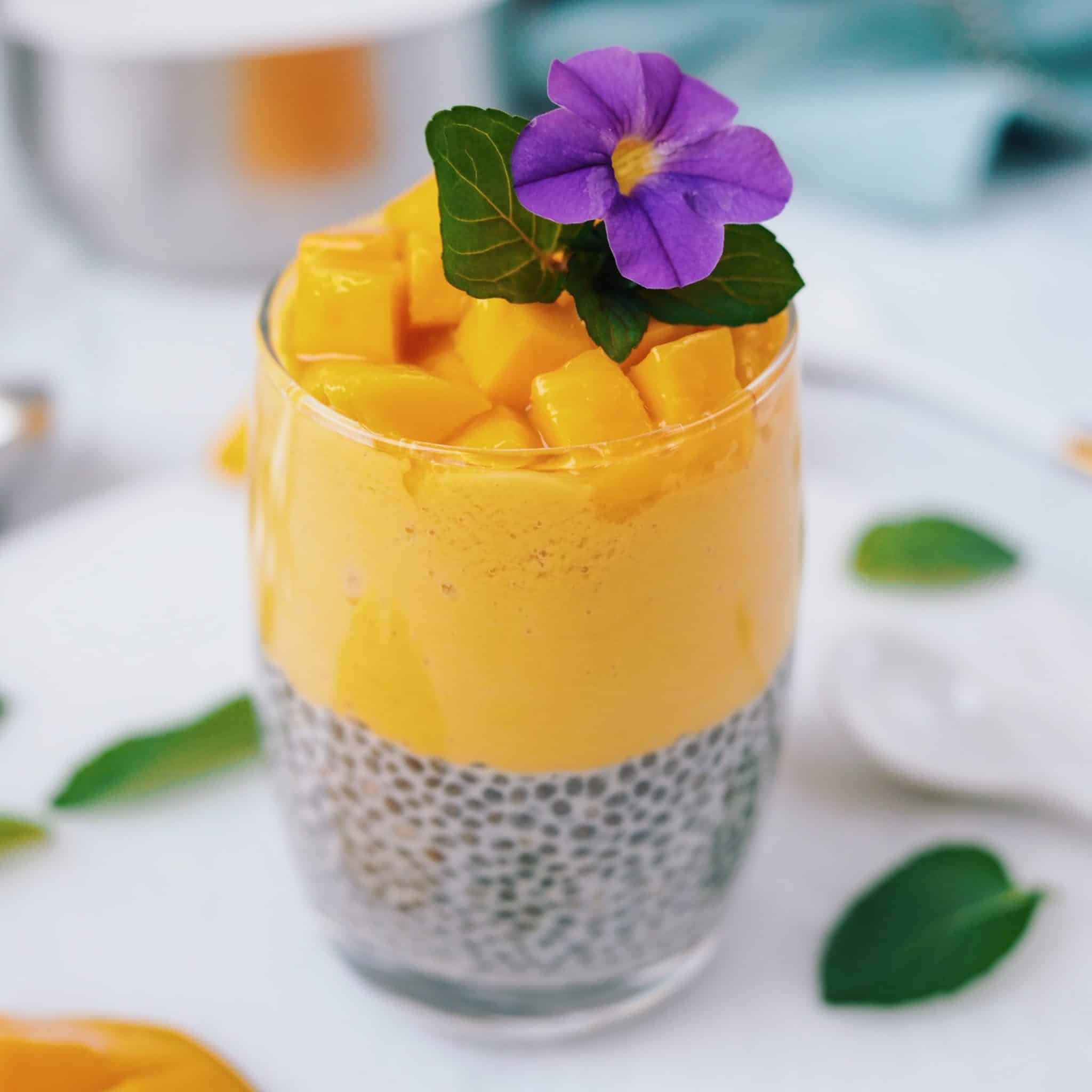 Mango Coconut Chia Pudding