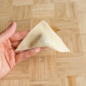 Fold the filled wonton over into a triangle, squeeze out any air pockets and seal the edges tightly.