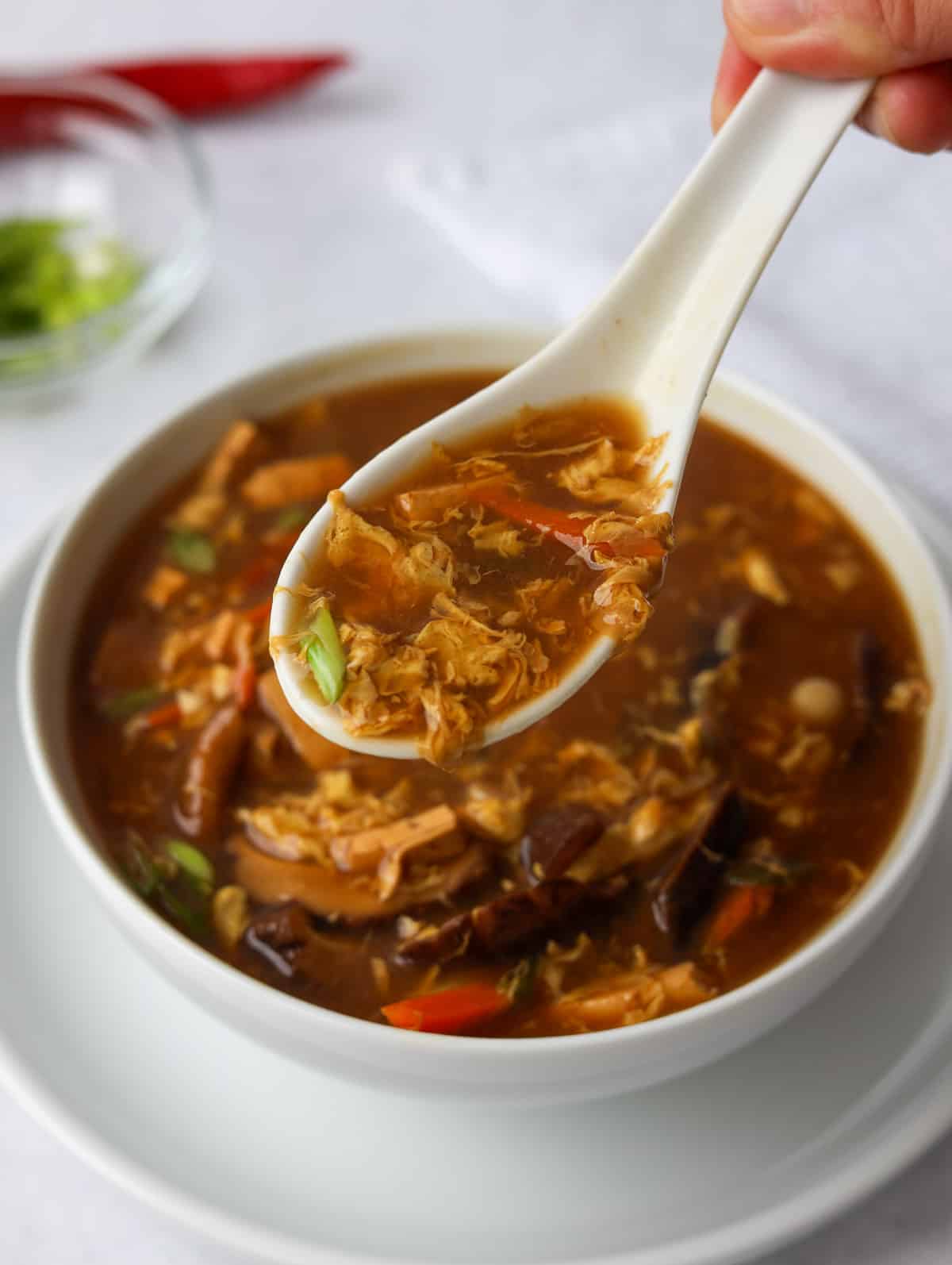 A close up shot of Hot and Sour Soup