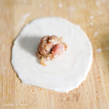 On a clean working surface, prepare a small bowl of cold water nearby. Place dumpling wrapper in the palm of your hand. Spoon 1 teaspoon or 7 g of the filling into the center of the wrapper. Lightly dab water along the edges of the wrapper.