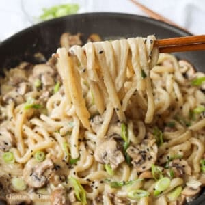 featured image of creamy mushroom udon