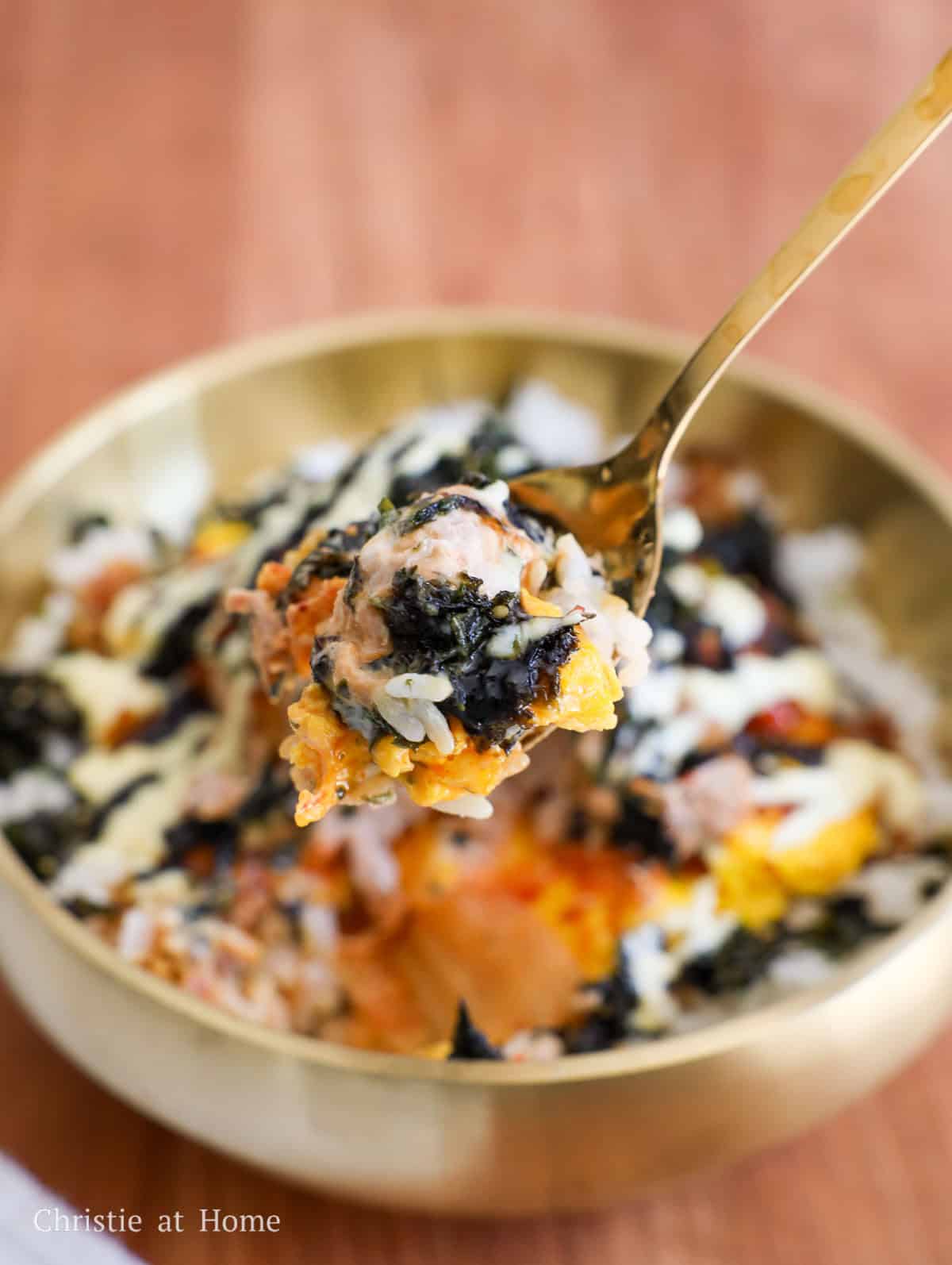 a closeup shot of korean tuna rice chamchi deopbap