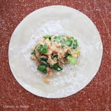 Then on a clean working surface, lay one wonton wrapper flat and add ½ tablespoon of the filling into the center. Lightly dab the edges with water to help seal the wonton.