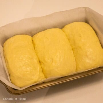 Cover and allow this to rest in a warm area until it has doubled in size, about 45-60 mins