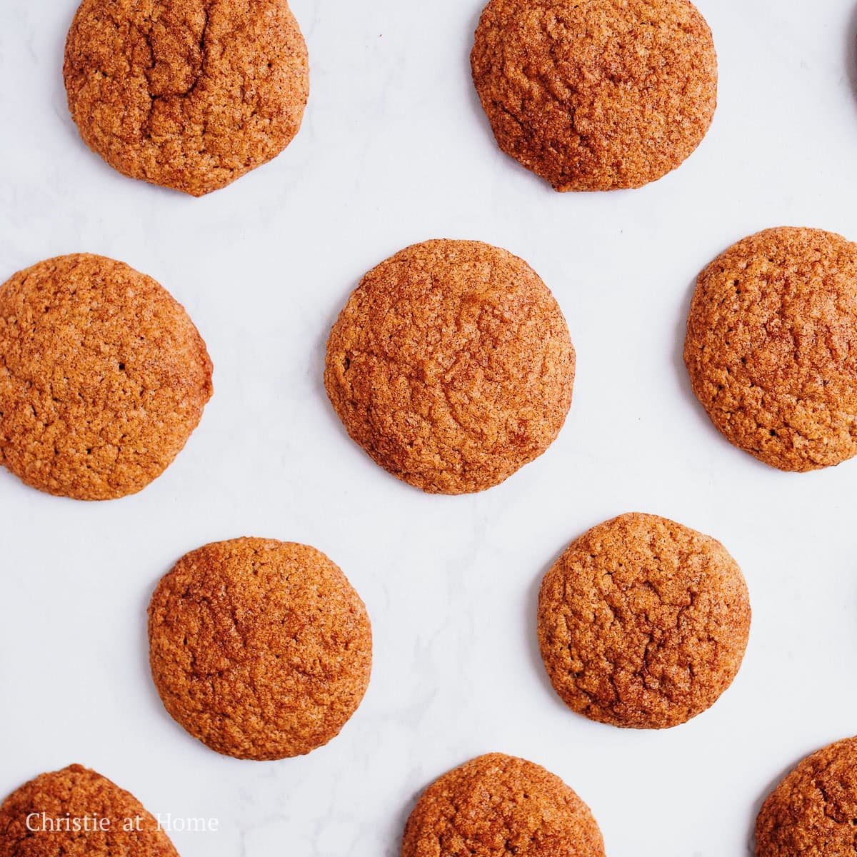vegan cinnamon oat cookies