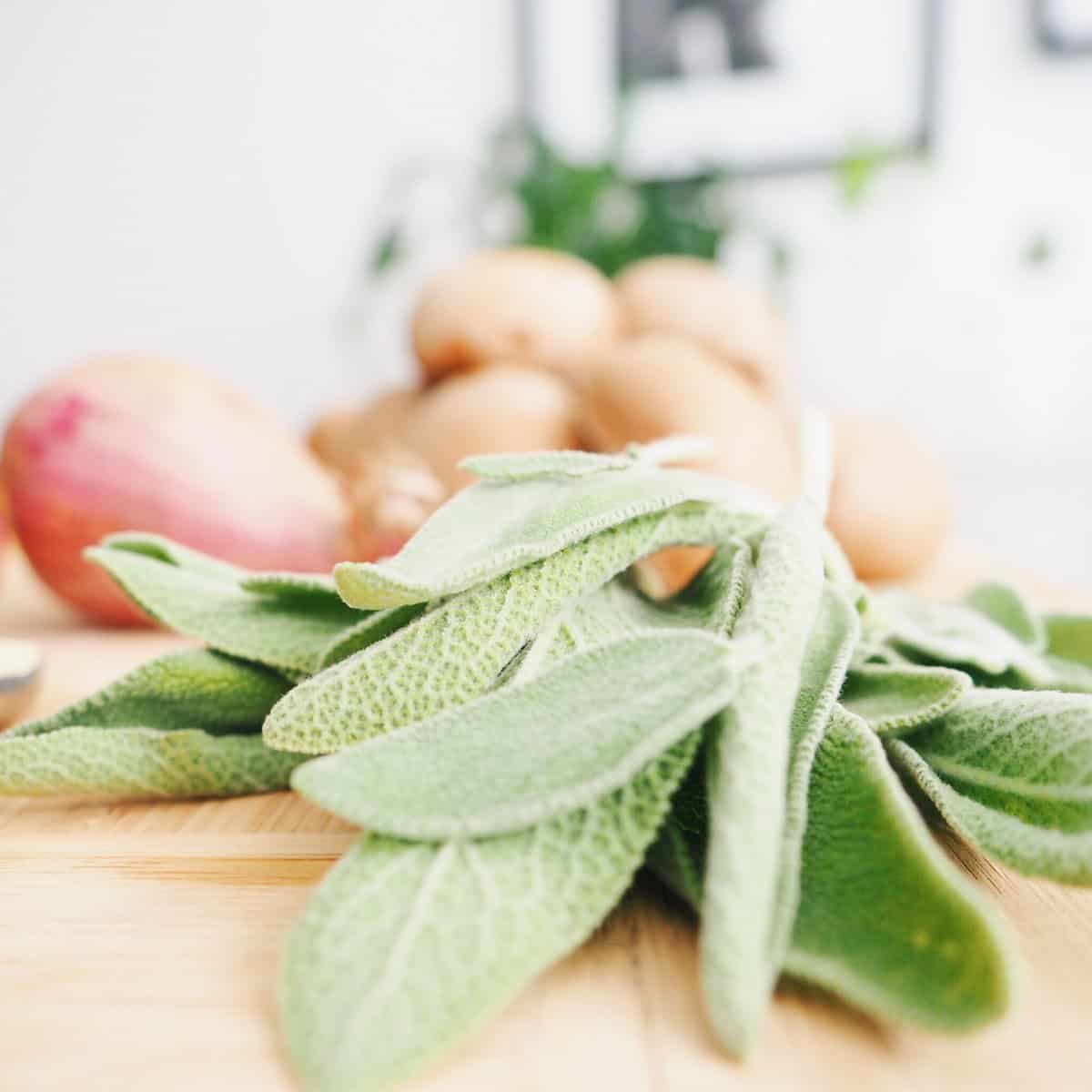 an image of fresh sage