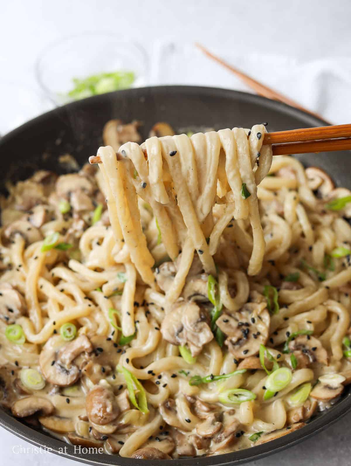 creamy mushroom udon