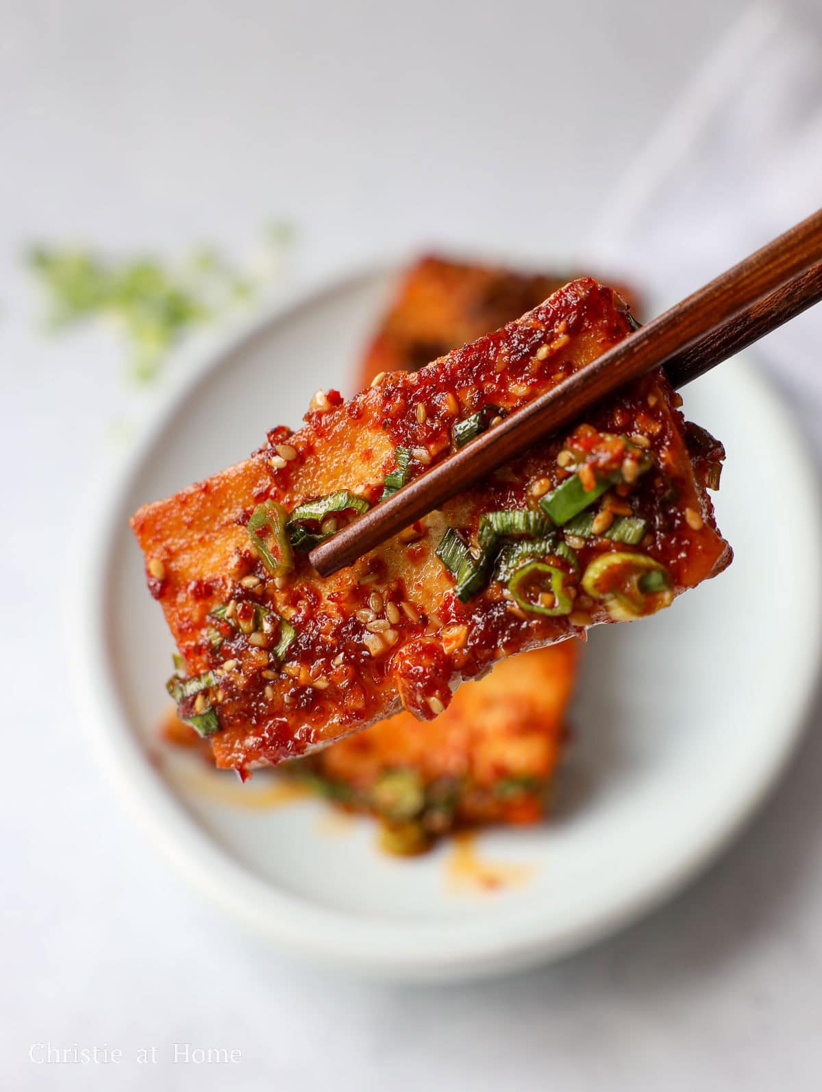 Korean Braised Tofu