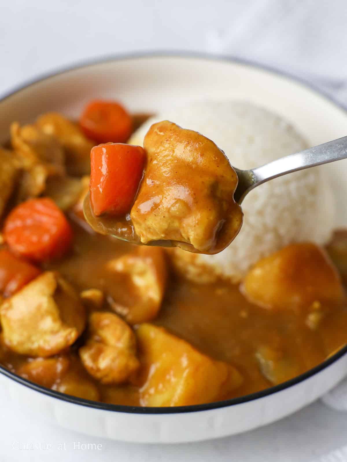 a close up shot of japanese chicken curry